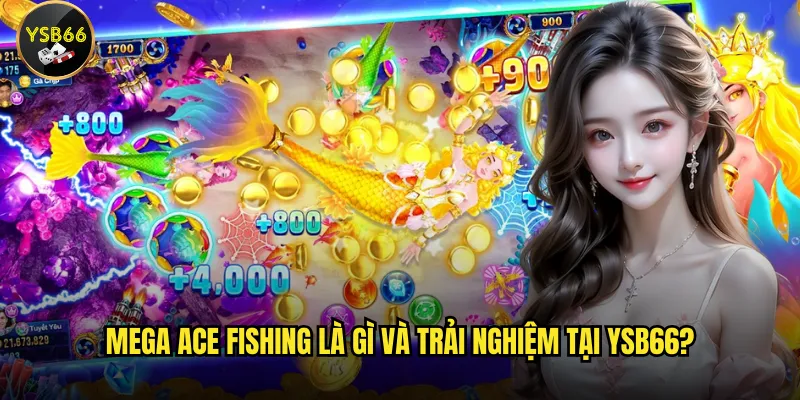 Mega Ace Fishing là gì và trải nghiệm tại Ysb66?