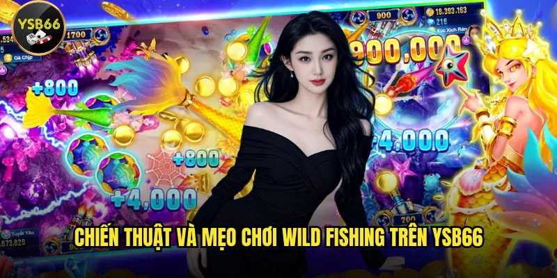 Chiến thuật và mẹo chơi Wild Fishing trên Ysb66