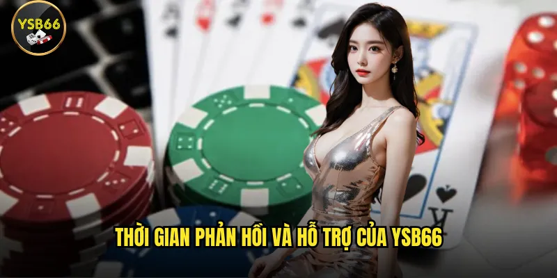 Thời gian phản hồi và hỗ trợ của Ysb66