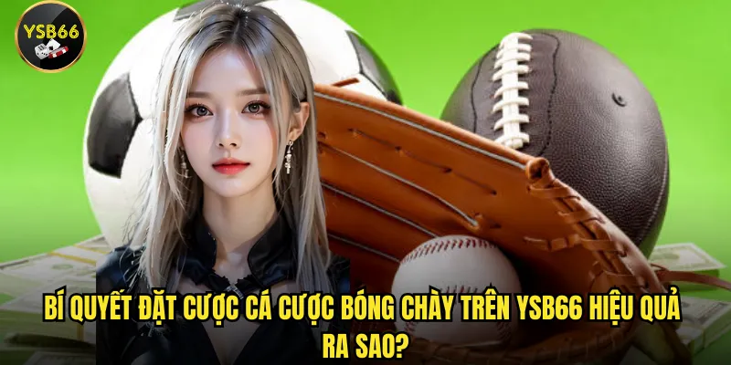 Bí quyết đặt cược cá cược bóng chày trên Ysb66 hiệu quả ra sao?